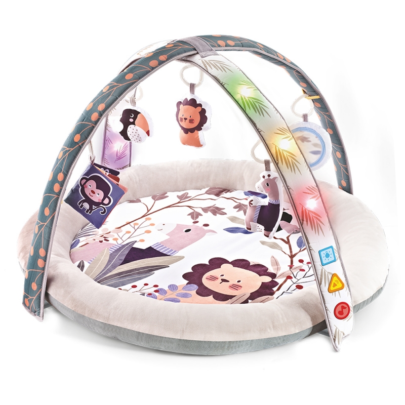 ΓΥΜΝΑΣΤΗΡΙΟ - ΦΩΛΙΑ ZOO