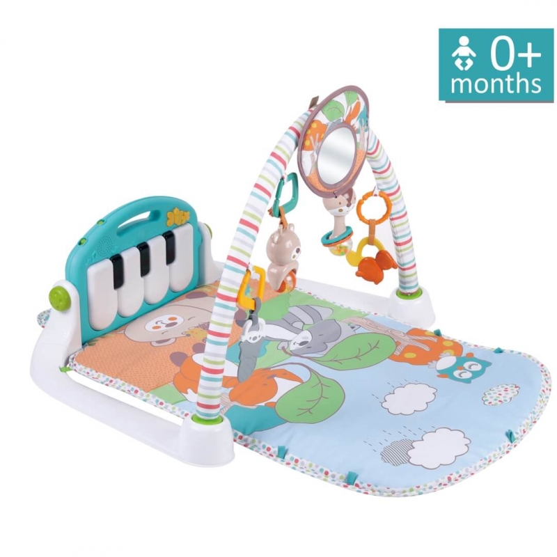 ΓΥΜΝΑΣΤΗΡΙΟ PIANO RACCOON