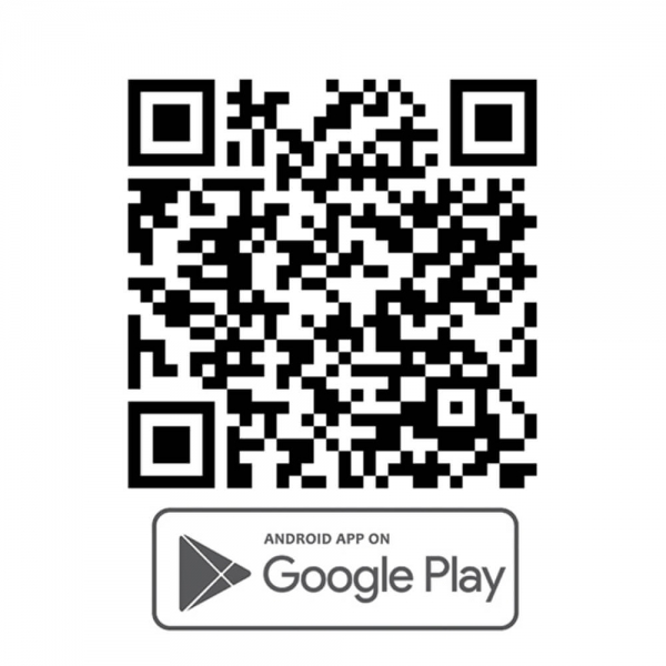 Electric Swing Daisy 2 in 1 Grey 253-186 - image 253-Android-600x600 on https://www.bebestars.gr
